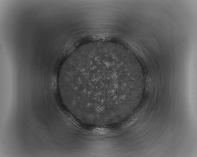 X0000113550699200909181159