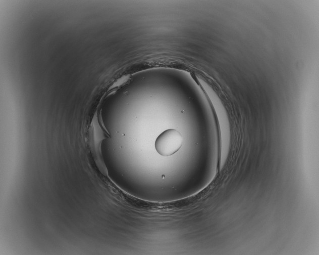 X0000113550701200909181159