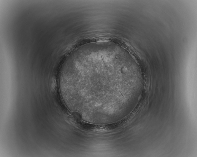 X0000113550704200909181159