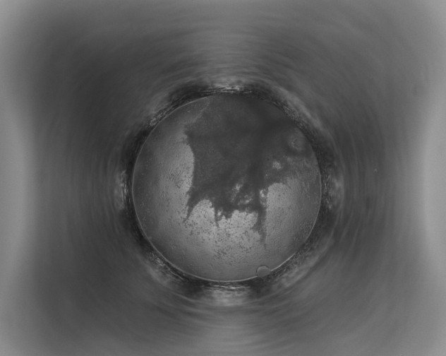 X0000113550707200909181159