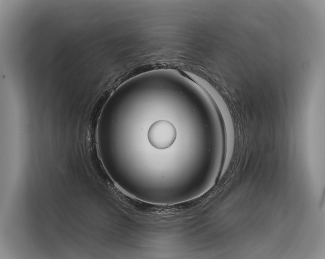 X0000113550709200909181159