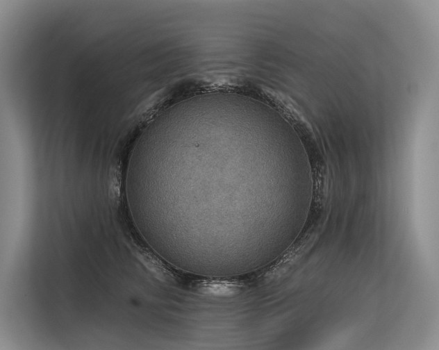 X0000113550710200909181159