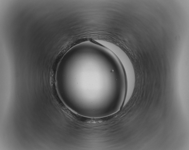 X0000113550712200909181159