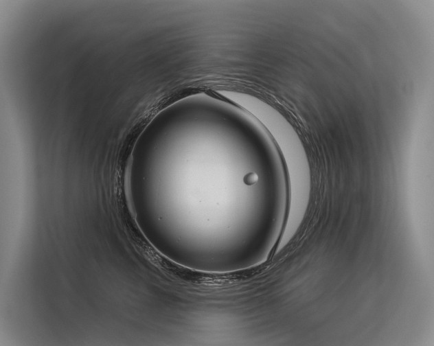 X0000113550713200909181159