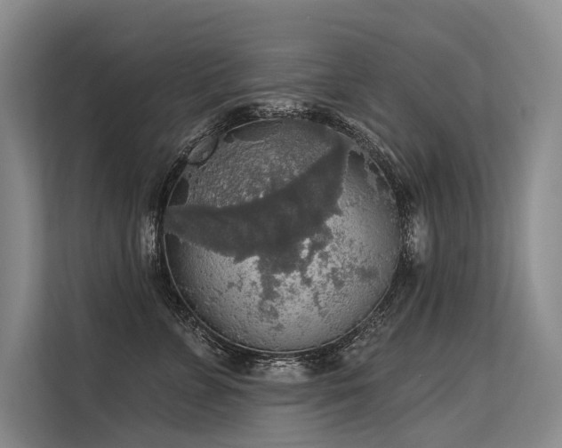 X0000113550715200909181159