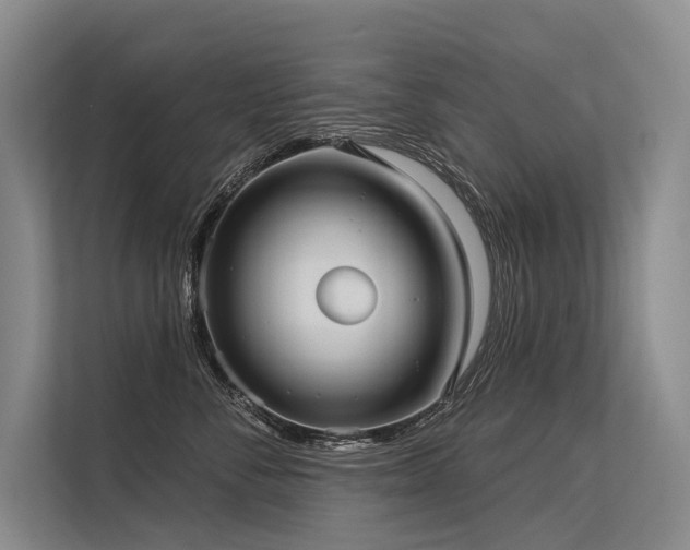 X0000113550716200909181159