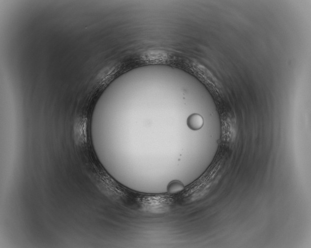 X0000113550717200909181159