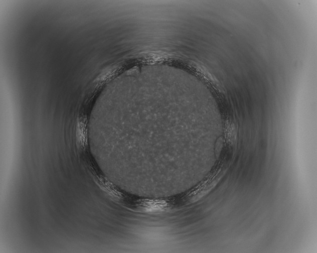 X0000113550719200909181159