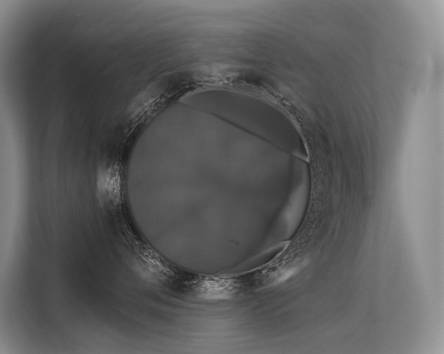 X0000113550720200909181159