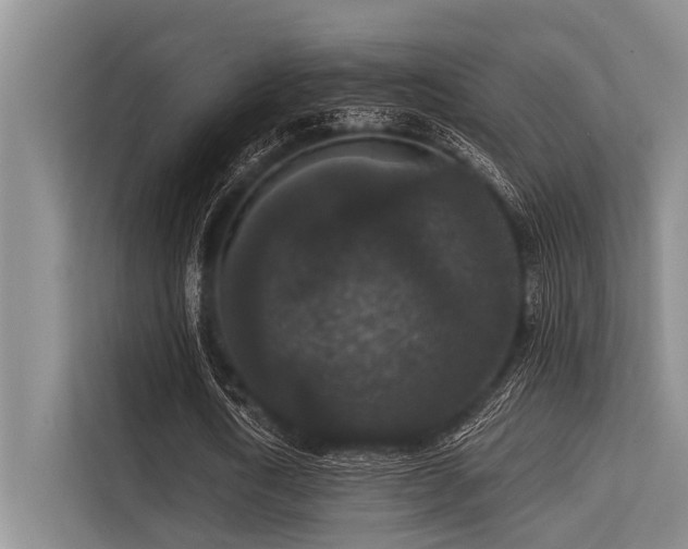 X0000113550722200909181158