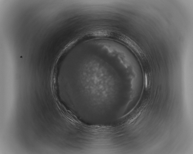 X0000113550723200909181158