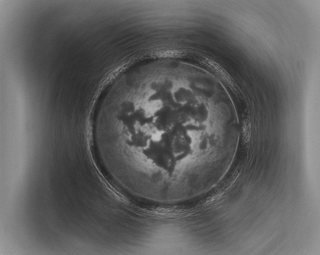 X0000113550725200909181158