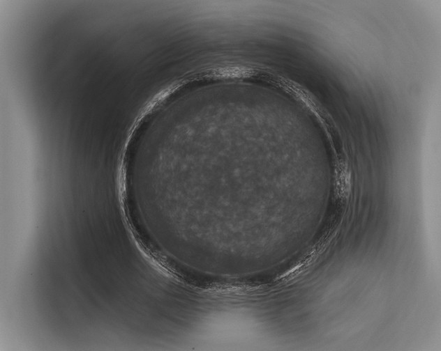 X0000113550726200909181158