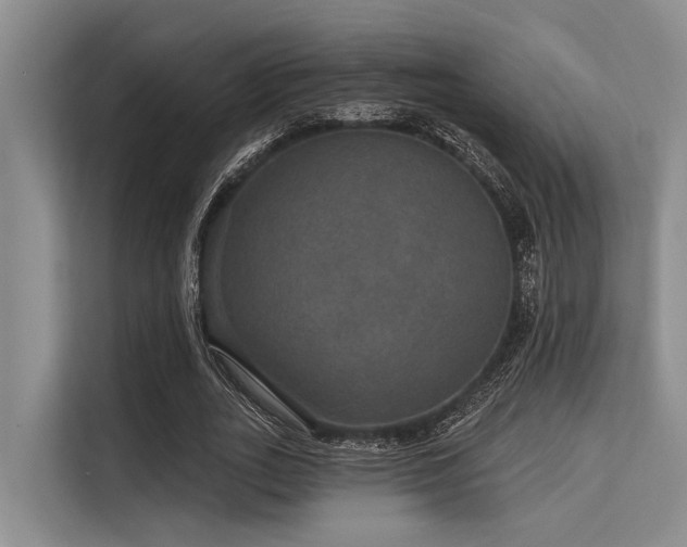 X0000113550727200909181158