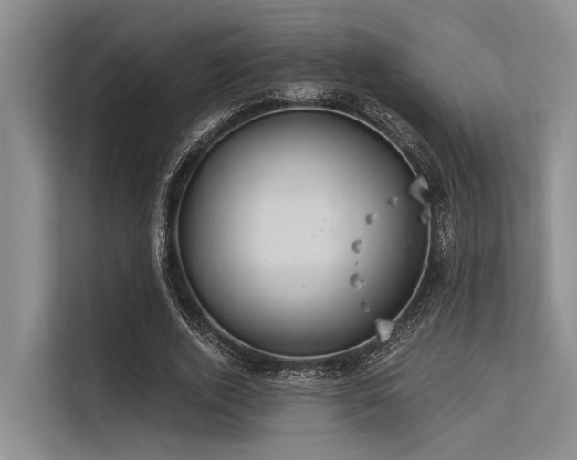 X0000113550728200909181158