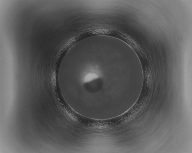 X0000113550729200909181158