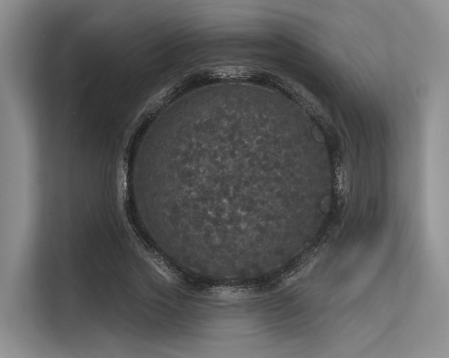 X0000113550733200909181158