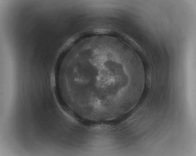 X0000113550734200909181158