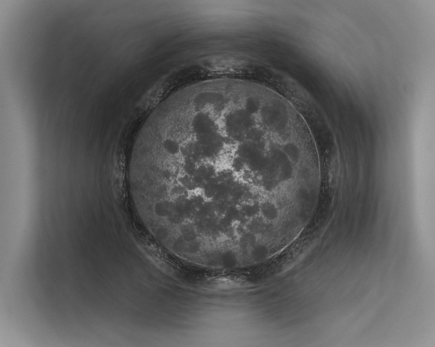 X0000113550737200909181159