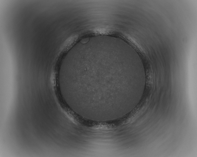 X0000113550738200909181159