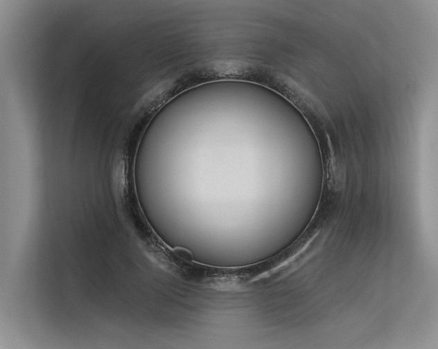 X0000113550740200909181159