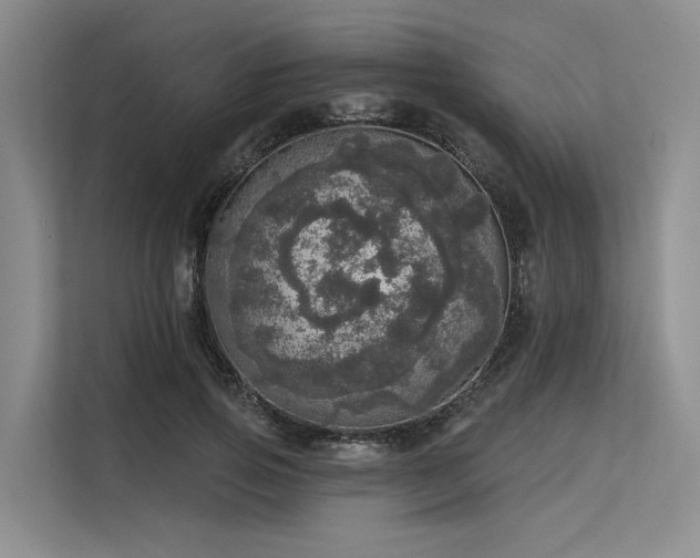 X0000113550741200909181159