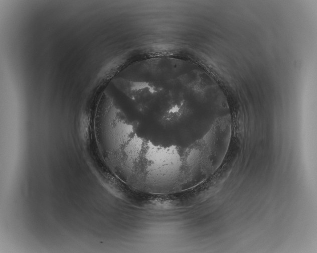 X0000113550742200909181159