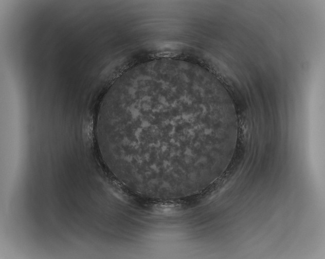 X0000113550745200909181159