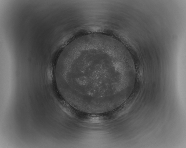 X0000113550746200909181159