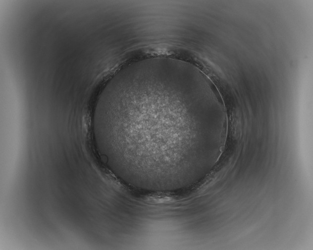 X0000113550747200909181159