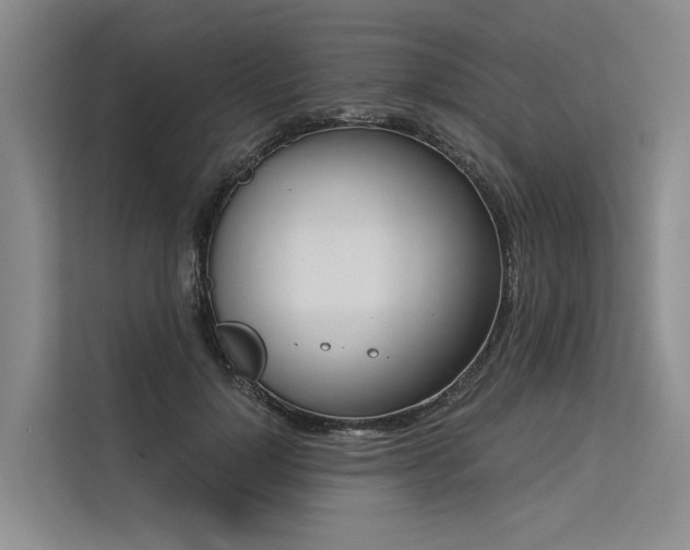 X0000113550748200909181159