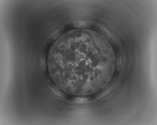 X0000113550749200909181159