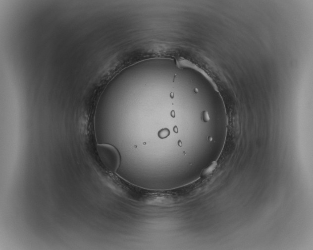 X0000113550750200909181159