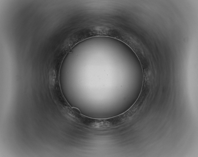 X0000113550752200909181159