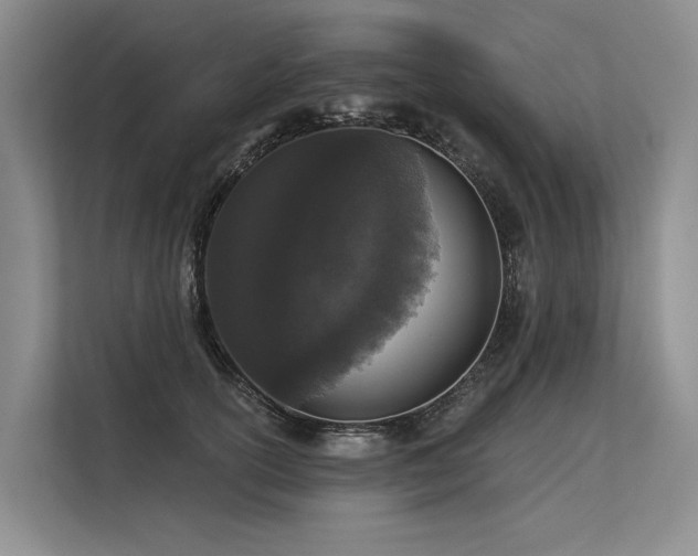 X0000113550754200909181159