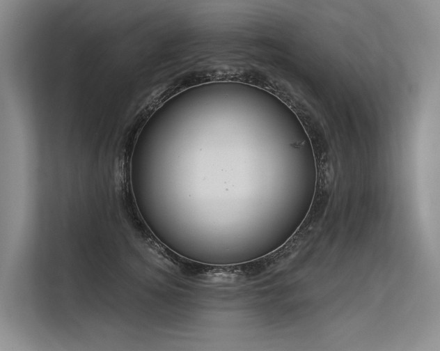 X0000113550756200909181159