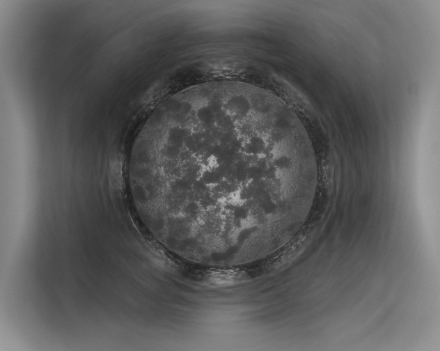 X0000113550757200909181159