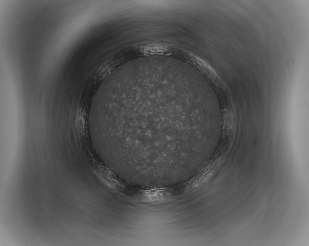 X0000113550761200909181159