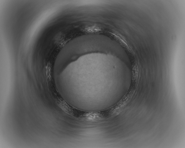 X0000113550762200909181159