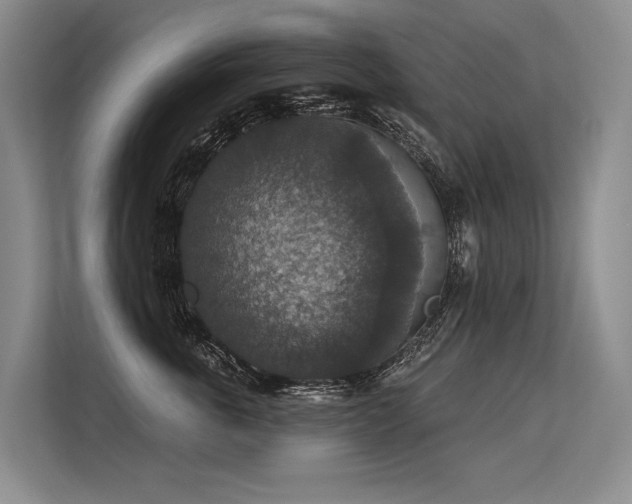 X0000113550763200909181159