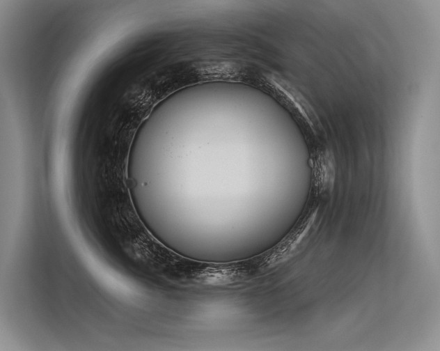 X0000113550764200909181159