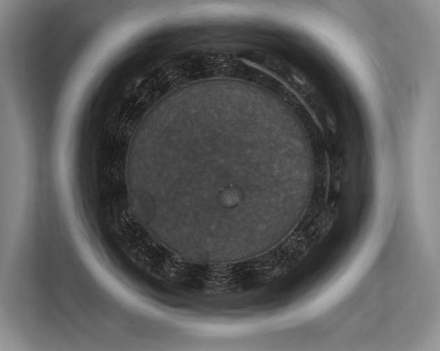 X0000113550766200909181159