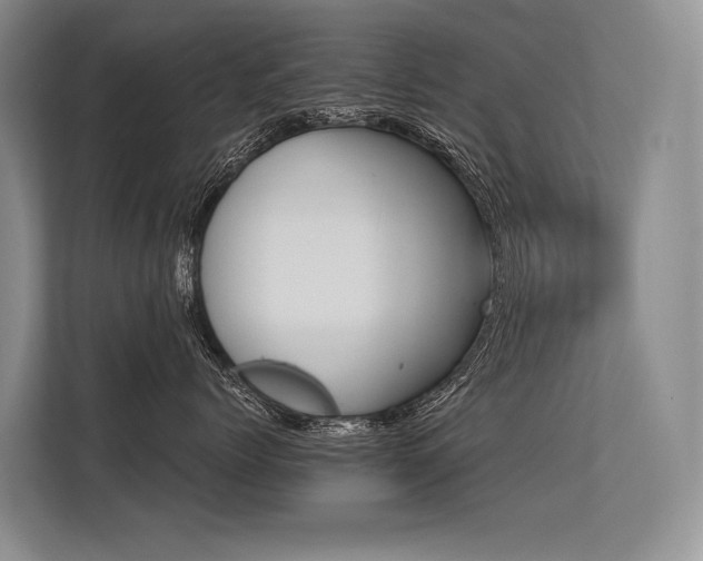 X0000113550768200909181159