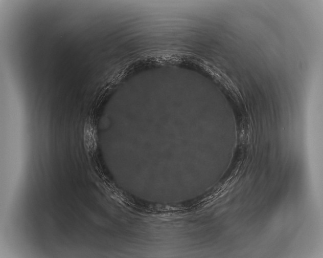 X0000113550772200909181158