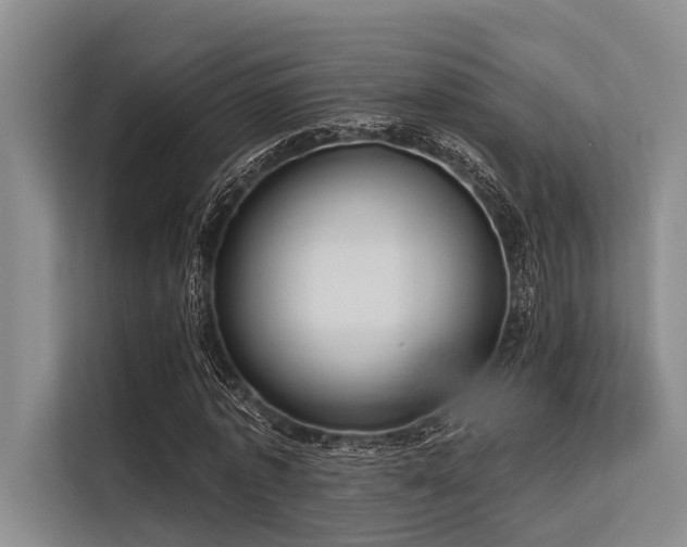 X0000113550773200909181158