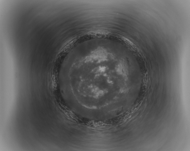 X0000113550774200909181158