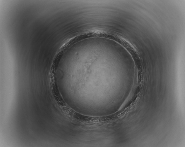 X0000113550776200909181158