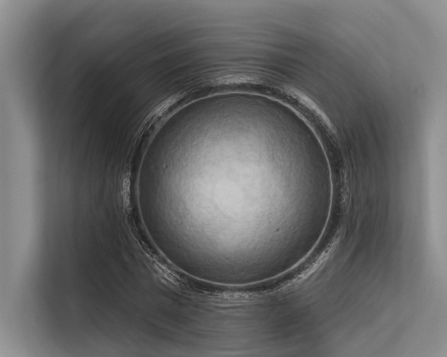 X0000113550777200909181158