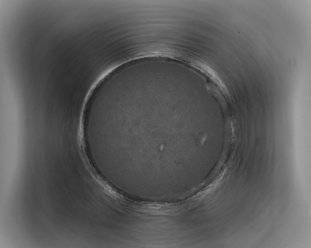 X0000113550780200909181158