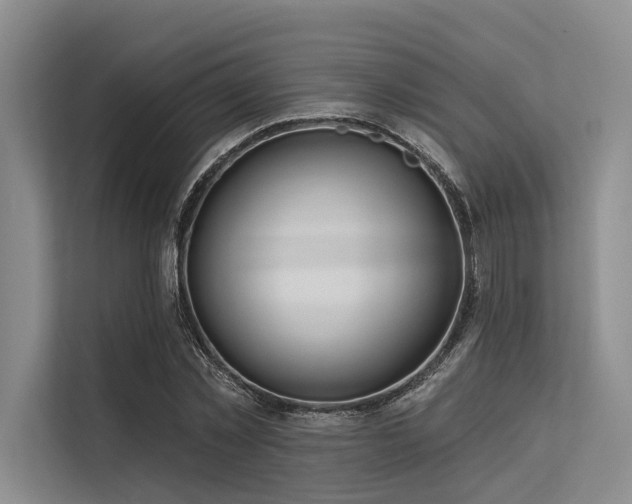 X0000113550781200909181158